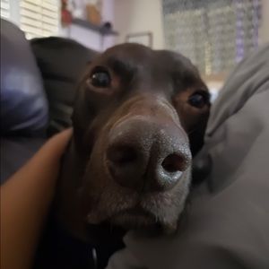 Meet your Posher, Jose